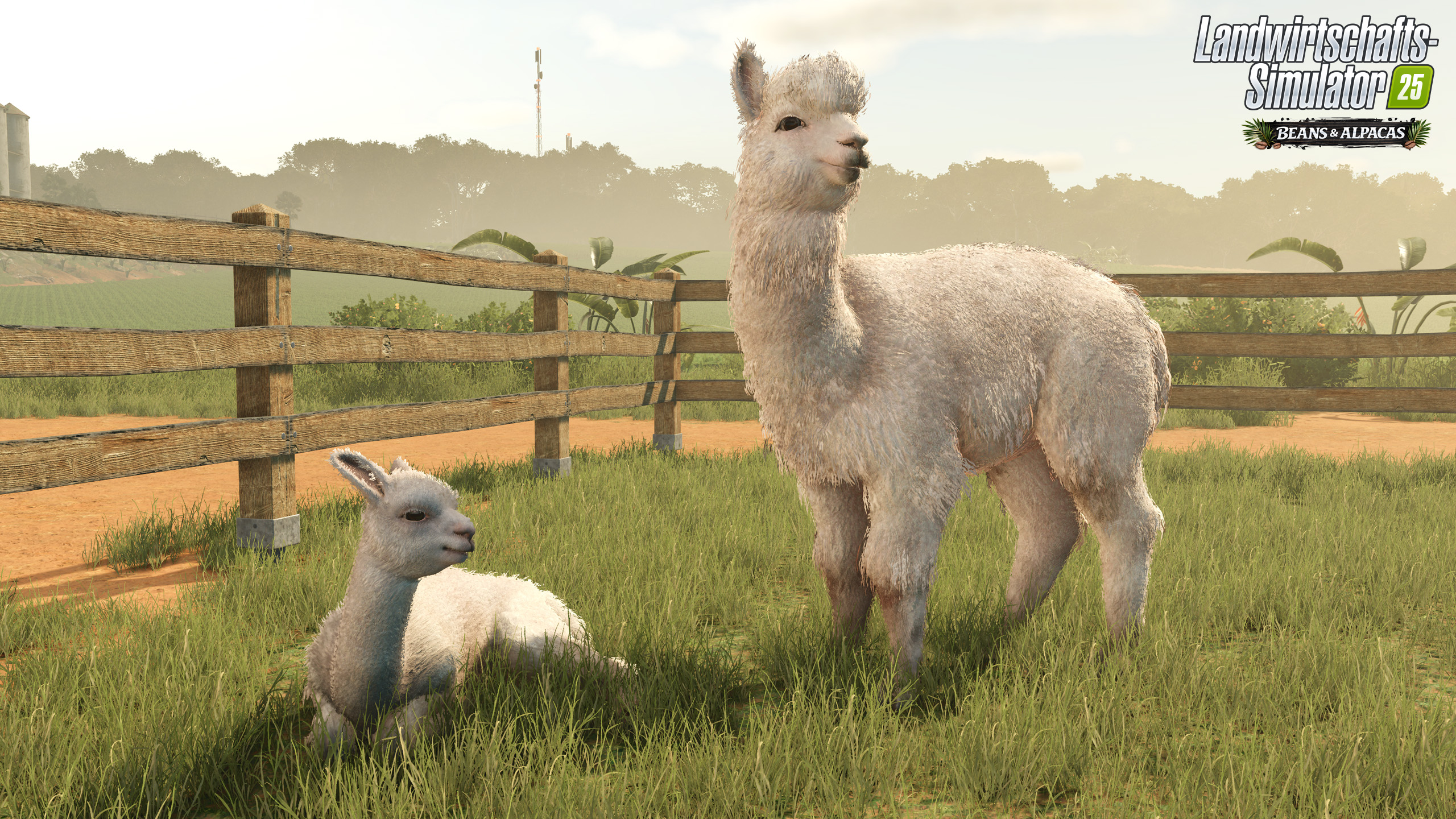 LS25 Beans & Alpacas Alpakas scheren und fuehren