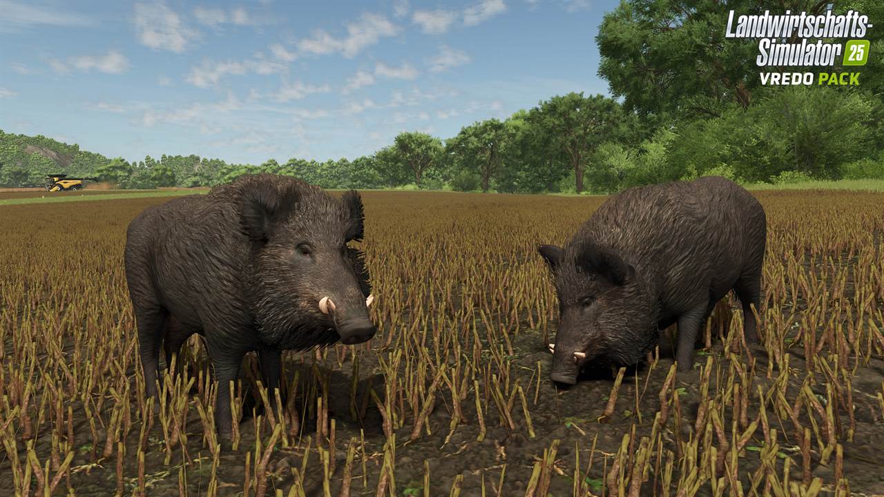 Raps-Aussaat mit Vredo im Landwirtschafts-Simulator 25