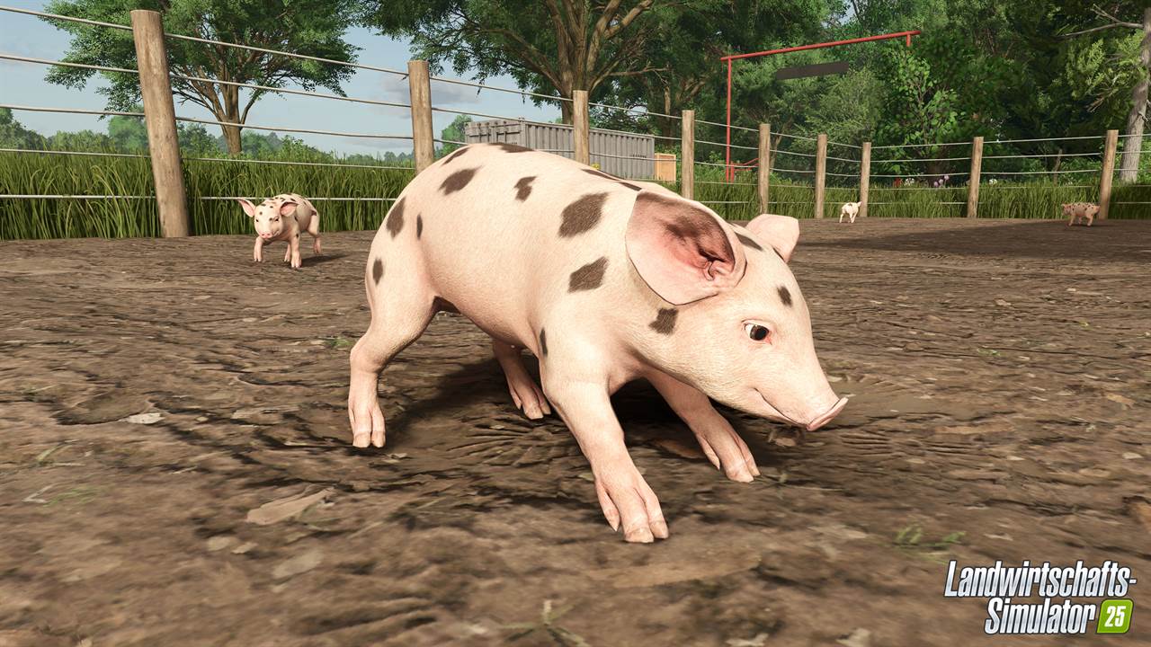 Erntezeit im Landwirtschafts-Simulator 25